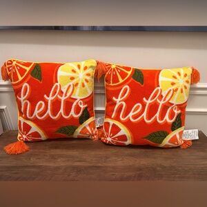 Orange Citrus Accent Pillow Set